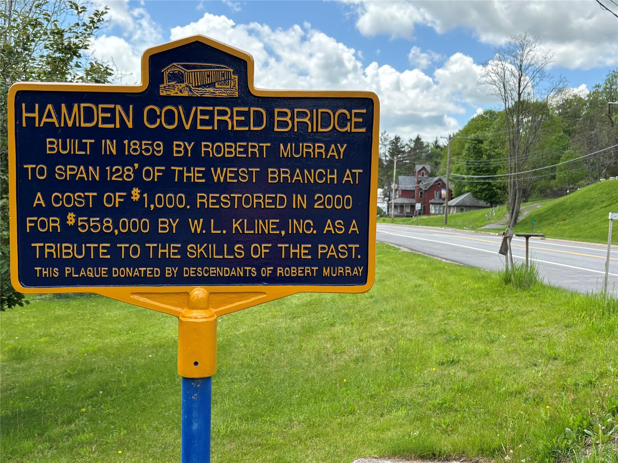 Lot 20 State Highway 10, Hamden, New York image 19