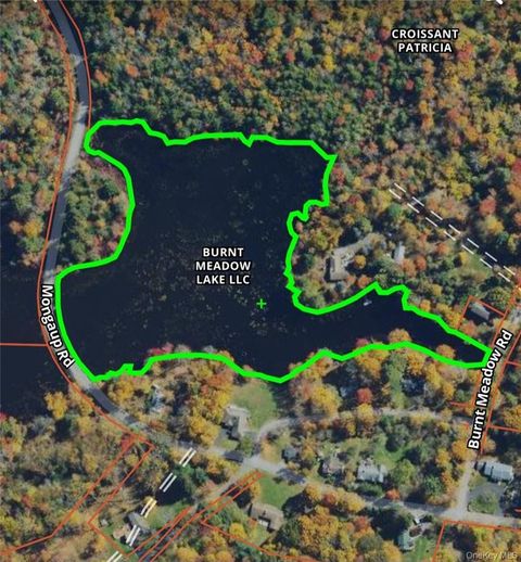 Vacant Land For Sale - Mongaup Road<br/> Monticello, NY 12701
