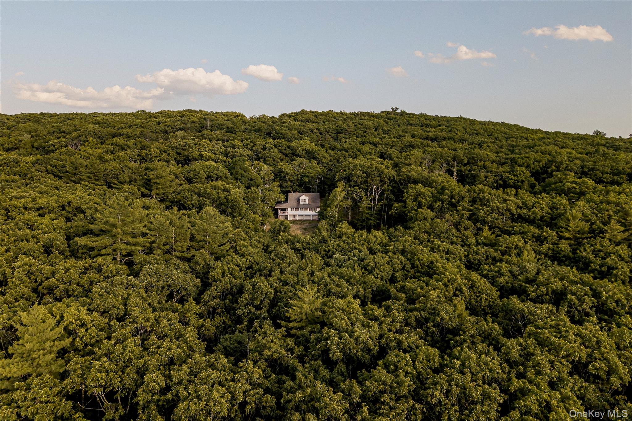 475 Ohayo Mountain Road