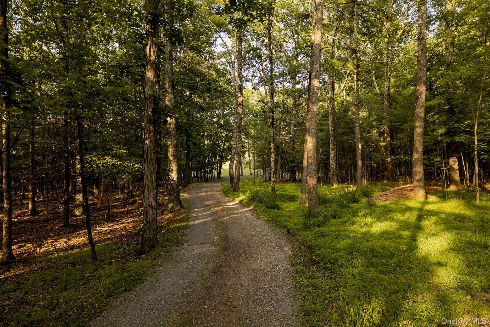 475 Ohayo Mountain Road