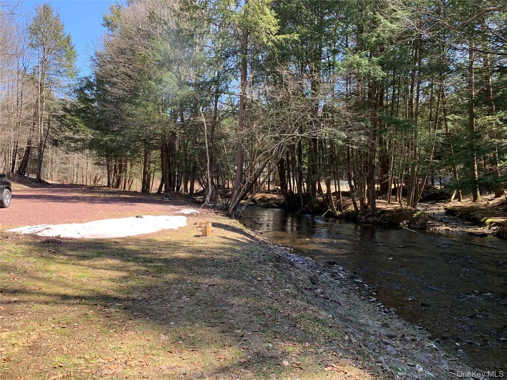 Photo of 604 Basket Road, Long Eddy, NY 12760 (MLS # 980611)