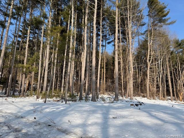 Lot 48.3 & 48.2 High Road