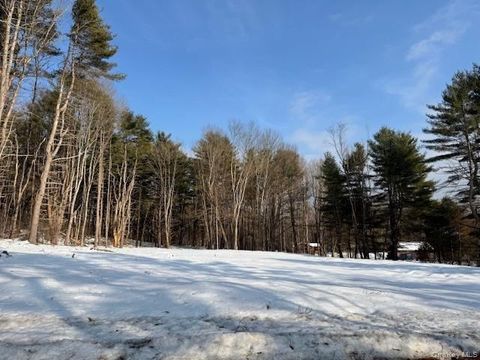 Vacant Land For Sale - LOT 48.3 & 48.2 High Road<br/> Glen Spey, NY 12737