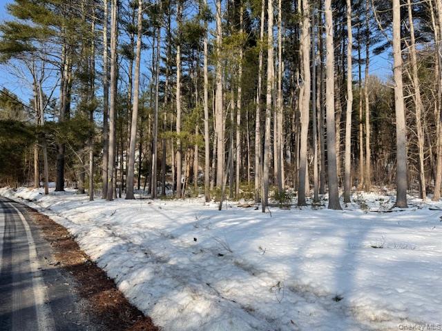 Lot 48.3 & 48.2 High Road