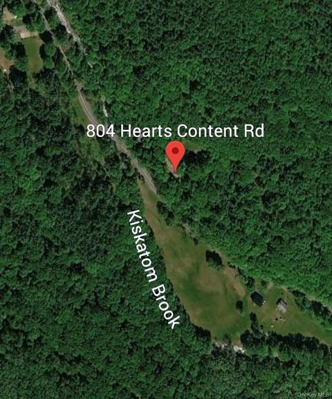 Vacant Land For Sale - 804 Hearts Content Road<br/> Greene County, Cairo, NY 12413