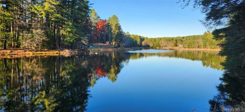 40 Beaver Brook Road Yulan NY 12792