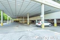 233 E Shore Road 204