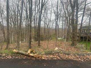 Wingdale Road, Carmel, New York image 8