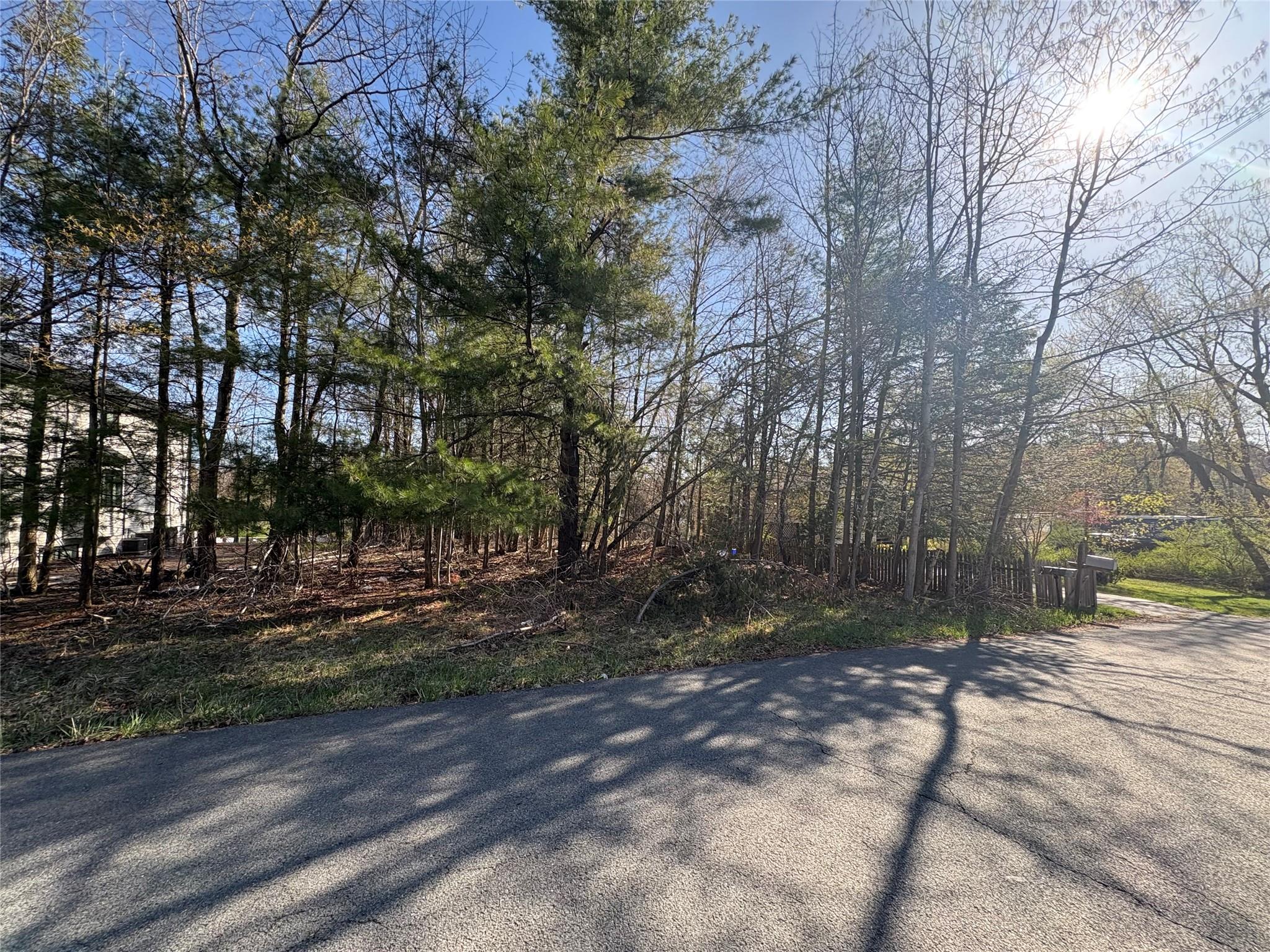 Woodcliff Avenue, Monticello, New York image 2
