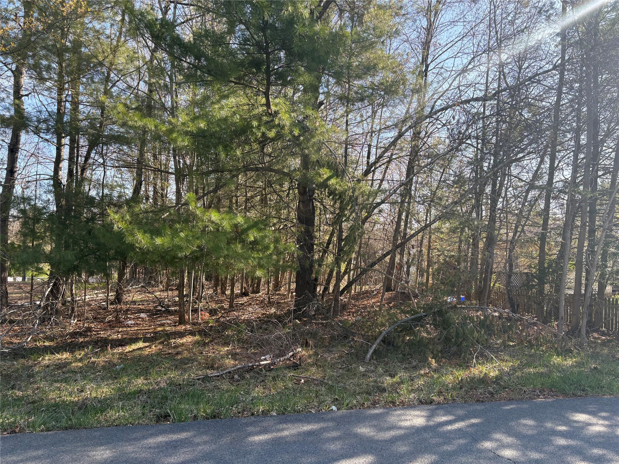 Woodcliff Avenue, Monticello, New York image 1