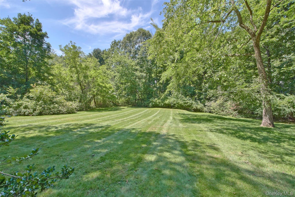 Photo of 88 Brevoort Road, Chappaqua, NY 10514 (MLS # 1048628)