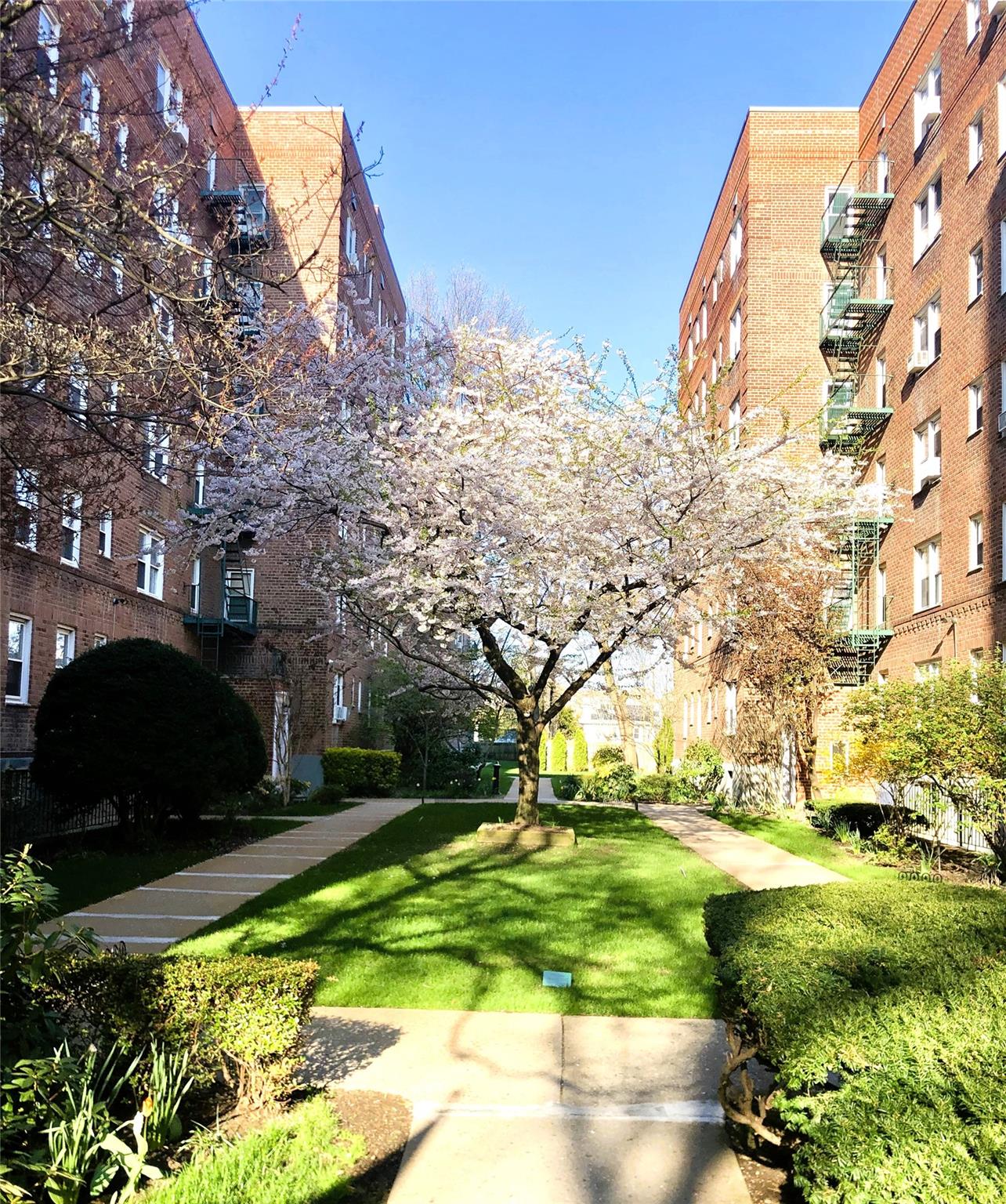 30 Cathedral Avenue #3D, Hempstead, New York image 2