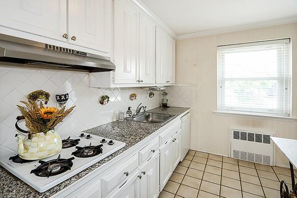 34 Pearsall Avenue #4K, Glen Cove, New York image 16