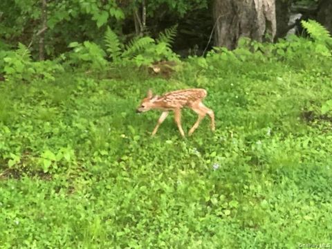 Vacant Land For Sale - Eldred-yulan Road<br/> Eldred, NY 12528