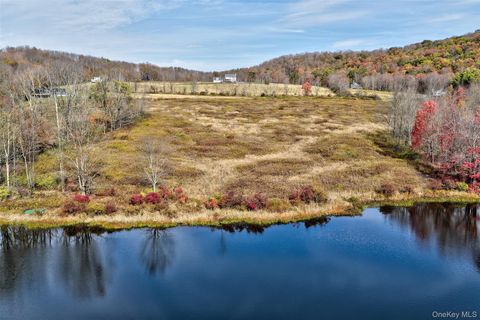 TBD Meadow Lane Fremont NY 12736