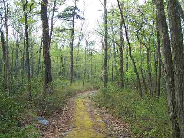 New Road, Wurtsboro, New York image 1