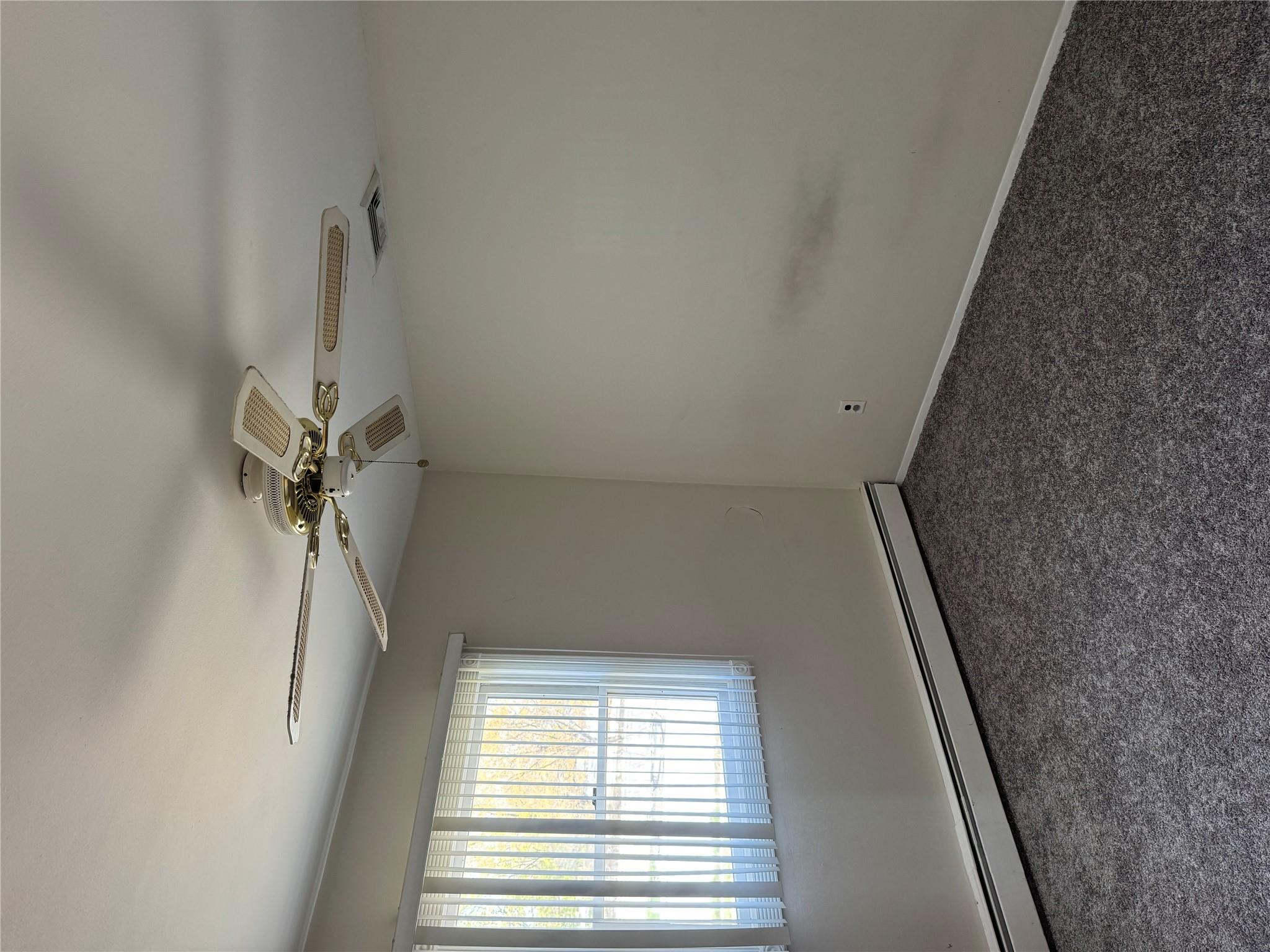 14 Colmar Avenue, Lake Grove, New York image 17