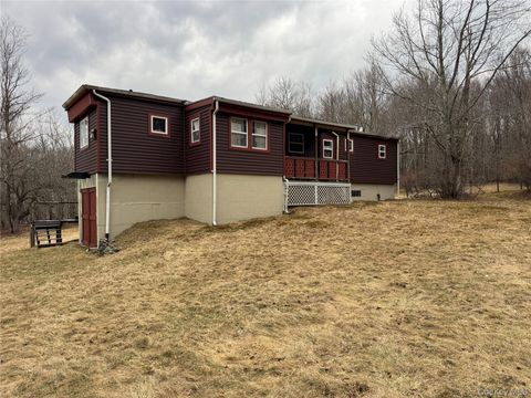  Livingston Manor NY 12758