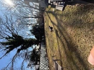 436 W Berrywood Court, West Hempstead, New York image 14