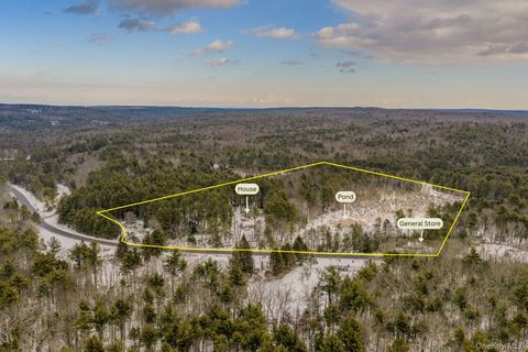 1124 State Route 42 Sparrowbush NY 12780