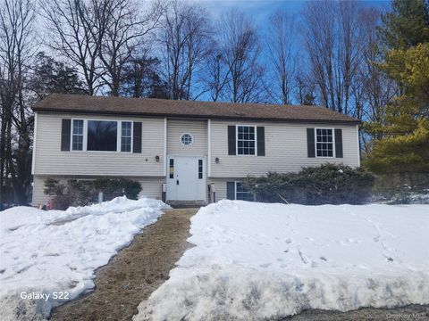 Homes For Sale - 41 Holly Hill Drive<br/> Wingdale, NY 12594