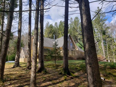49 Oxford Drive Bethel NY 12786