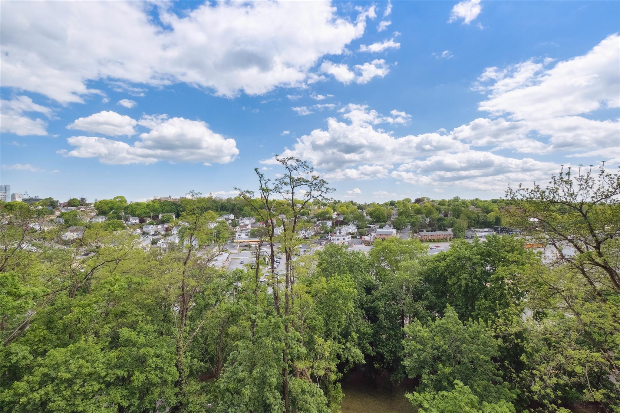 400 High Point Drive #313, Hartsdale, New York image 19