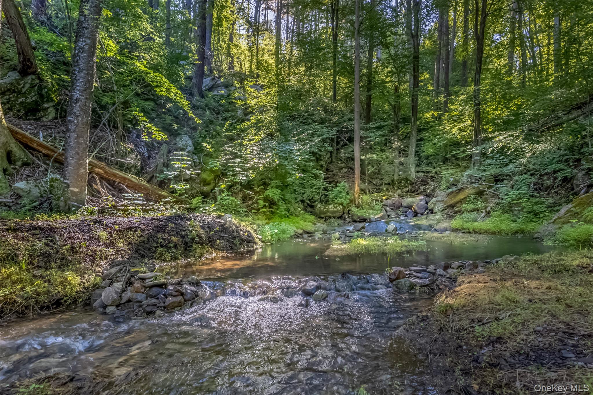Old Plank Road
