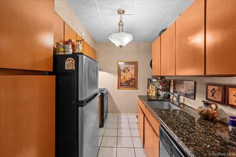 3200 Netherland Avenue D Bronx NY 10463