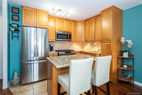 155 Ferris Avenue 11E White Plains NY 10603