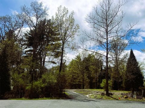 Photo of 147 Putt Lane, Kingston, NY 12401 (MLS # 989460)