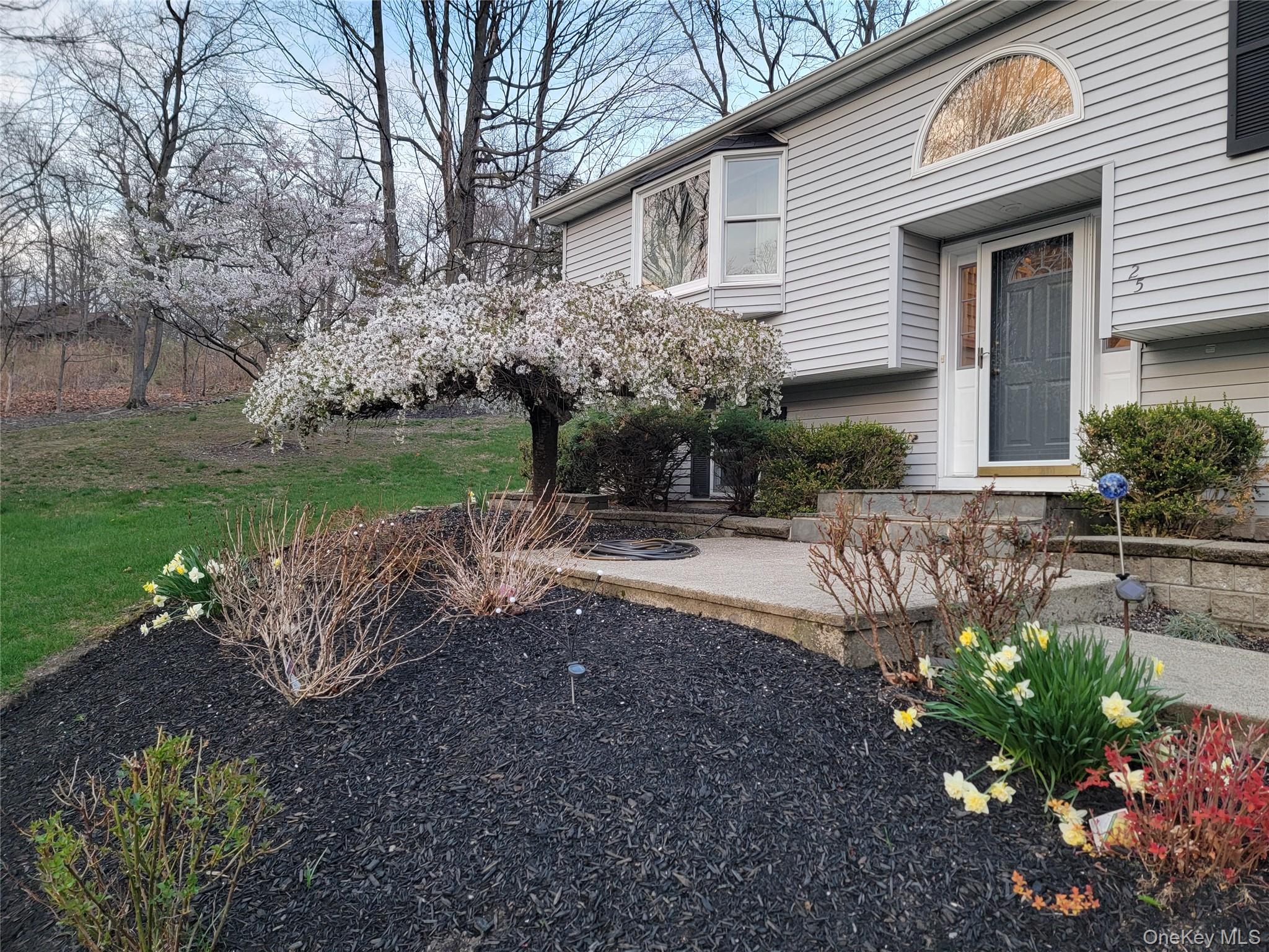 25 Cocoa Lane