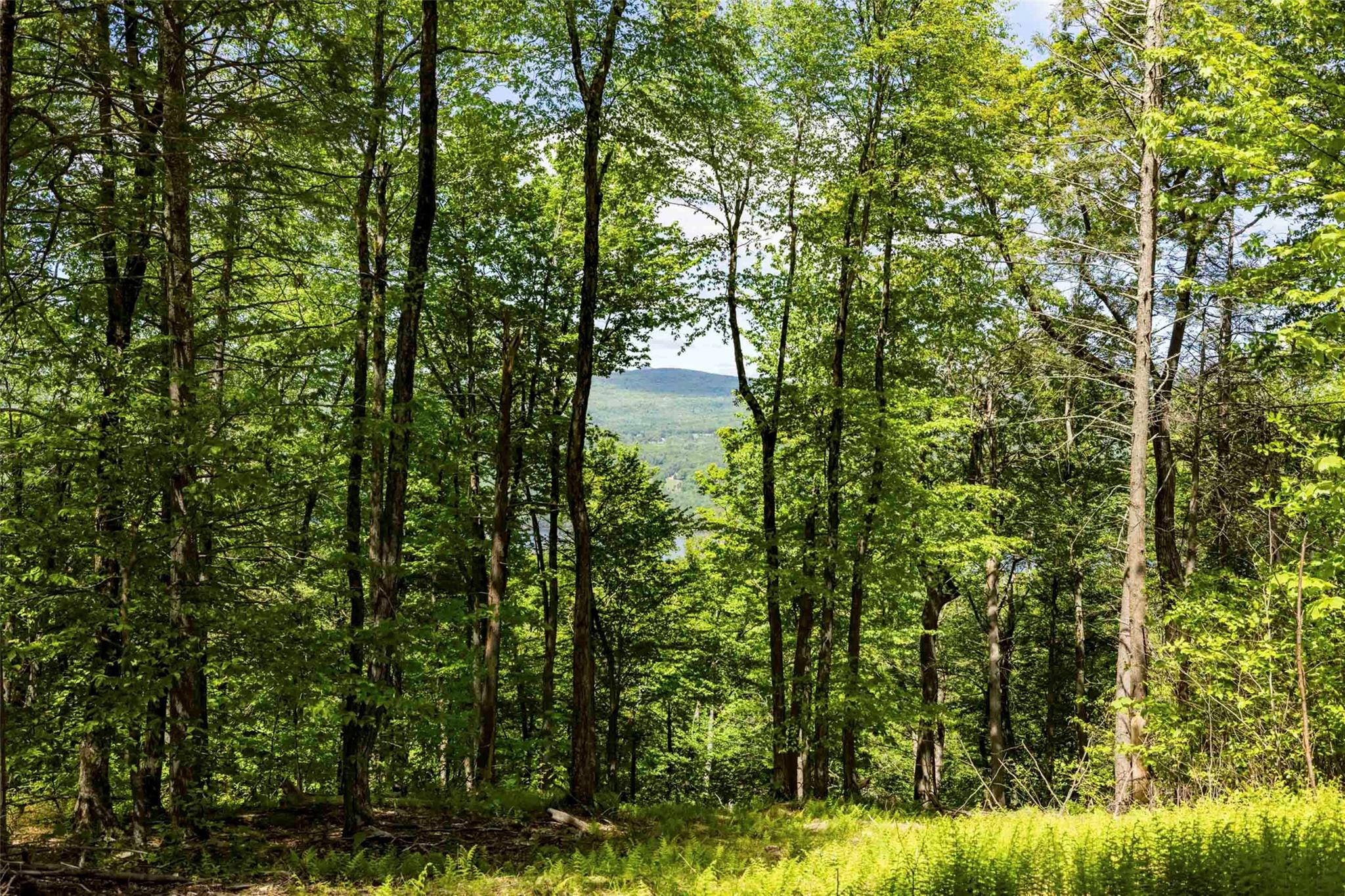 2 Red Rock Road, Wawarsing, New York image 3