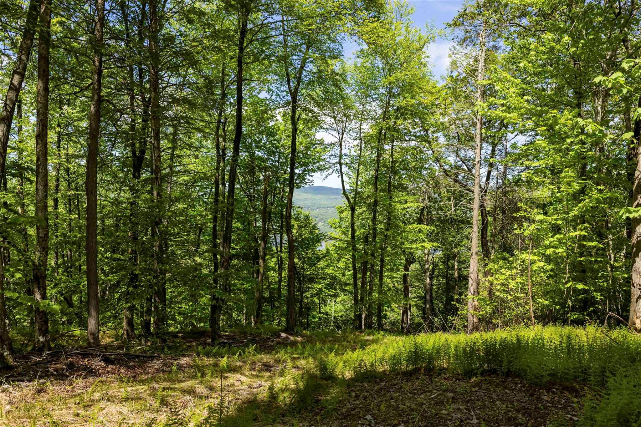 2 Red Rock Road, Wawarsing, New York image 5