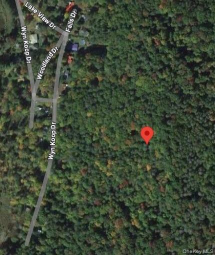 Woodland Road