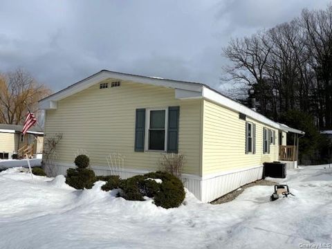 117 White Birch Trail Bloomingburg NY 12721