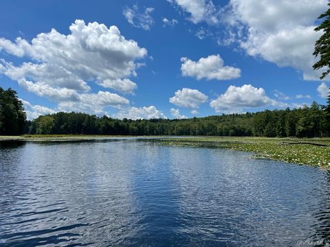 Vacant Land For Sale - Steges<br/> Sullivan County, Eldred, NY 12732