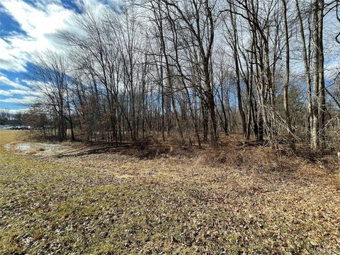 Vacant Land For Sale - Rt-9g<br/> Rhinebeck, NY 12572
