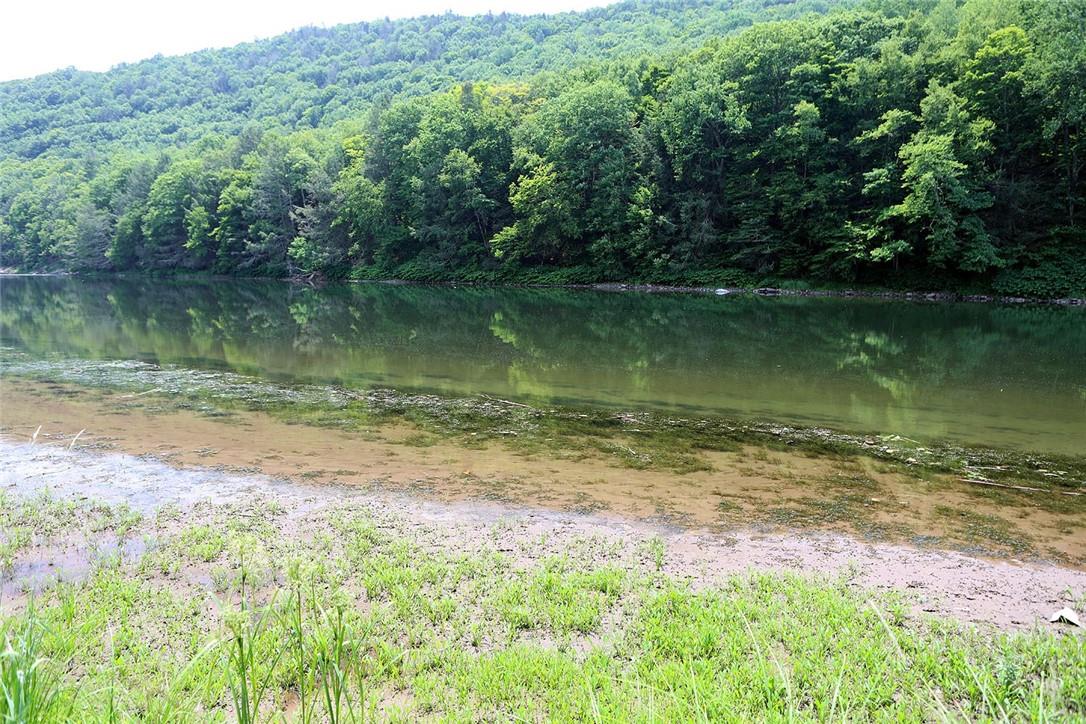 10 Ferry Street, Long Eddy, New York image 38