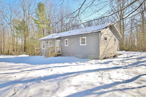 6 Buck Hill Road Summitville NY 12790