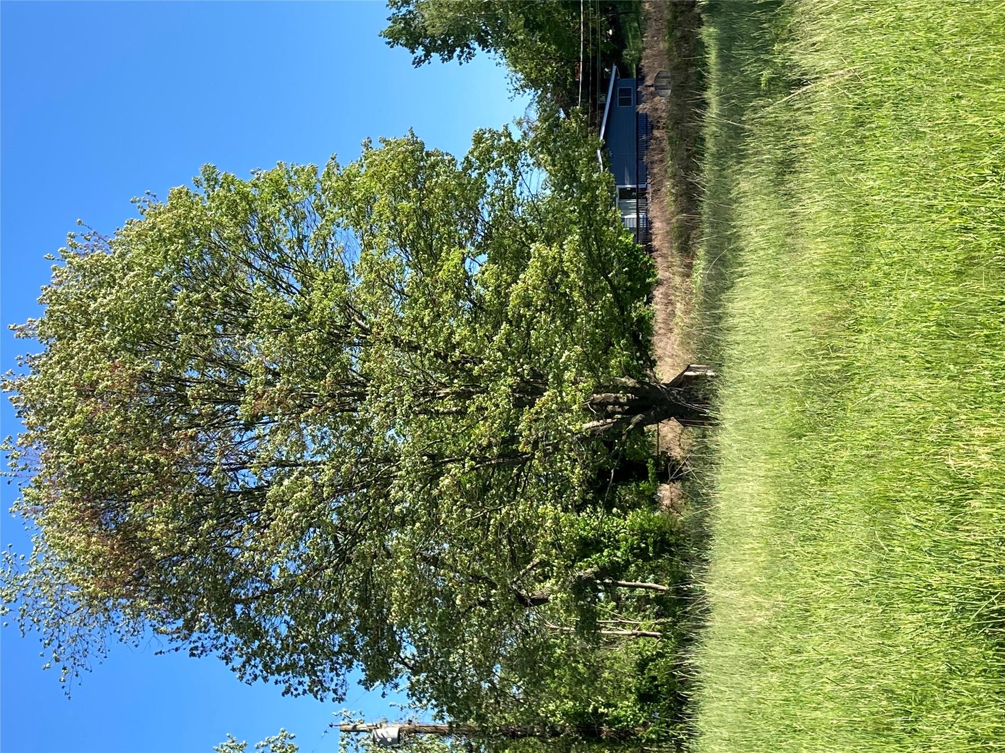 Ridge Road, Marlboro, New York image 4