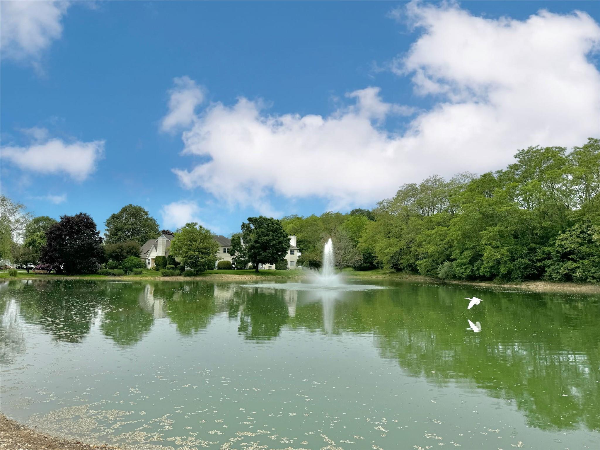 19 Erin Lane, East Setauket, New York image 22