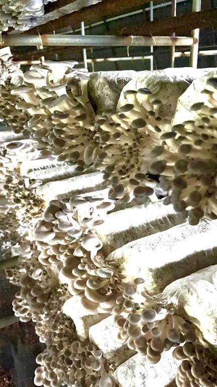 1117 Cross River Drive