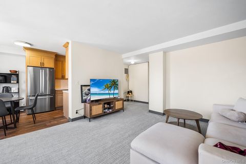 Photo of 33-65 14th Street #8C, Astoria, NY 11106 (MLS # 955551)