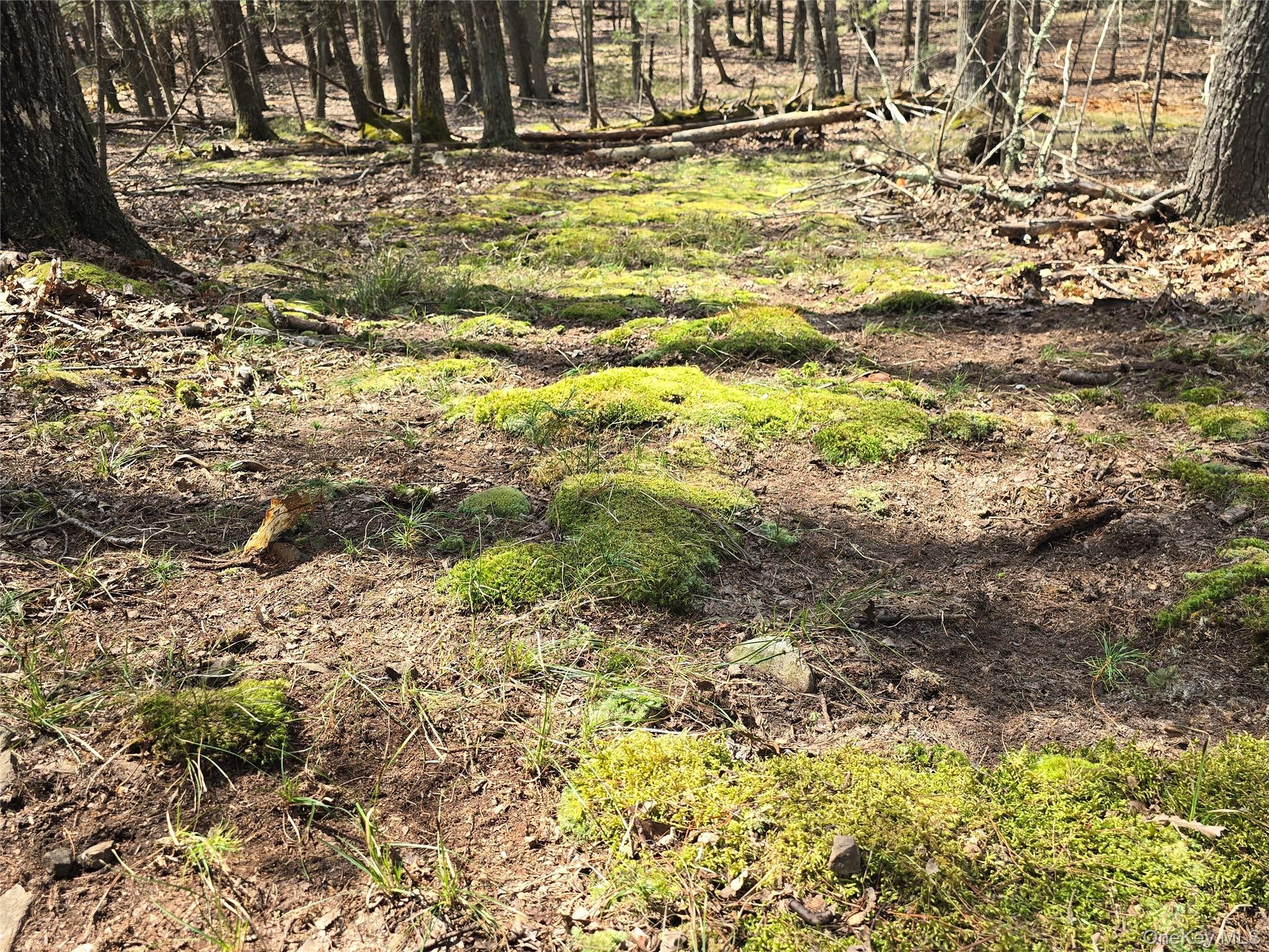 Lot 5 Evergreen Drive