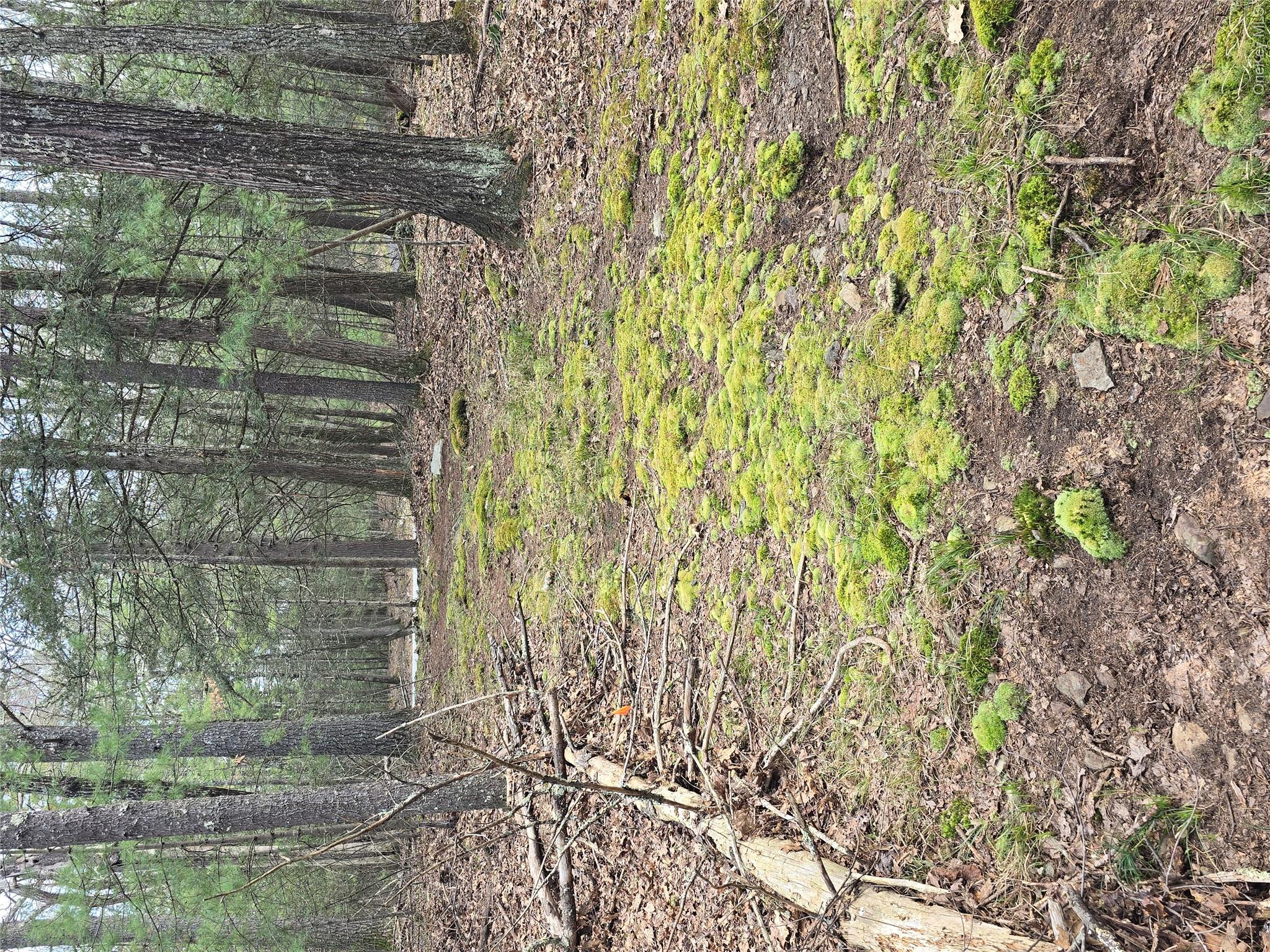 Lot 5 Evergreen Drive