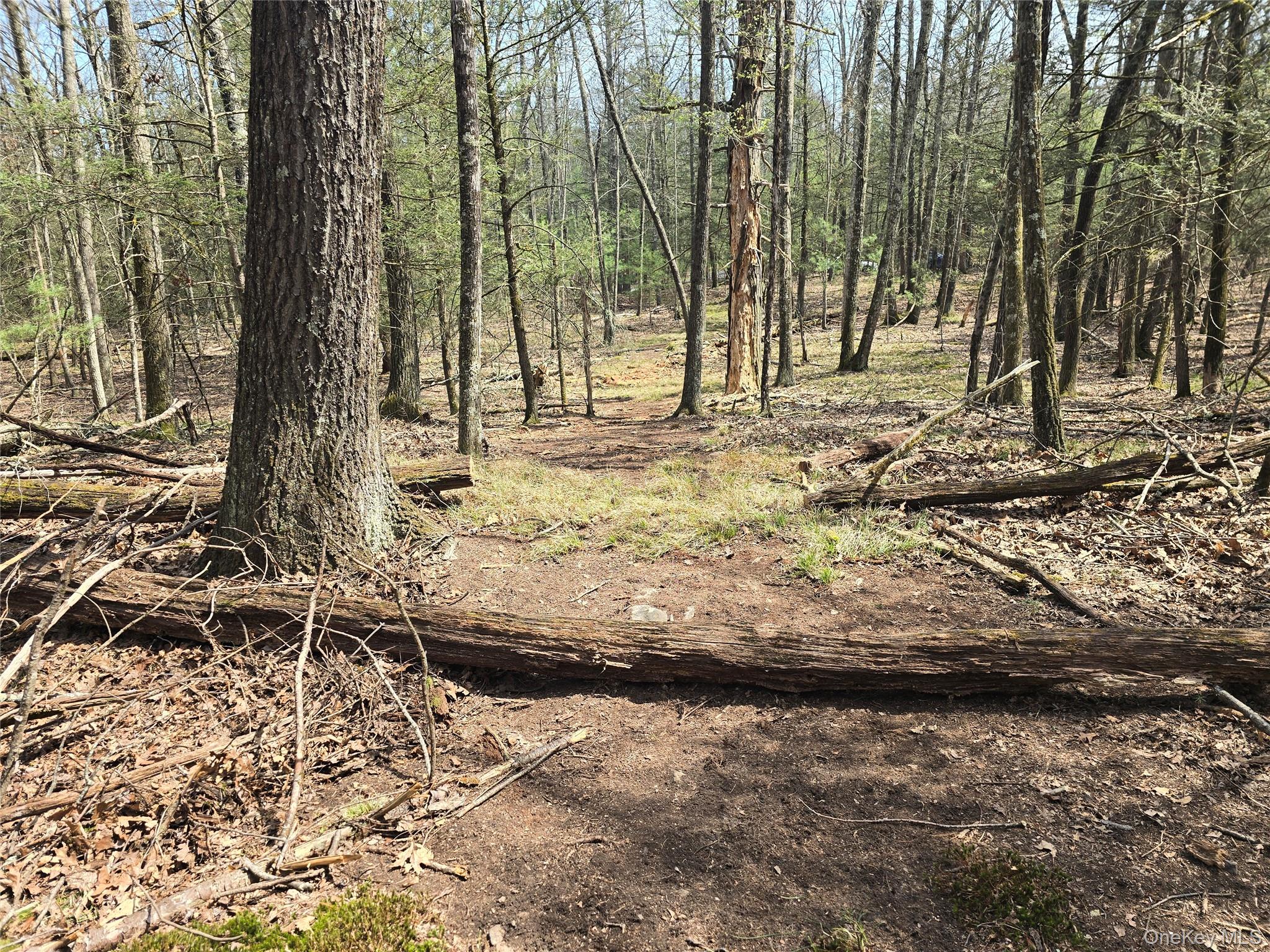 Lot 5 Evergreen Drive