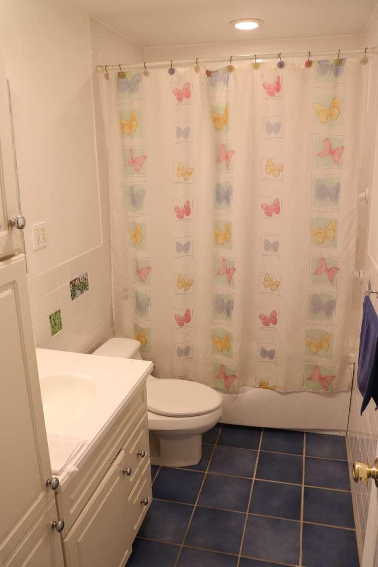 35 Morris Drive, New Hyde Park, New York image 15