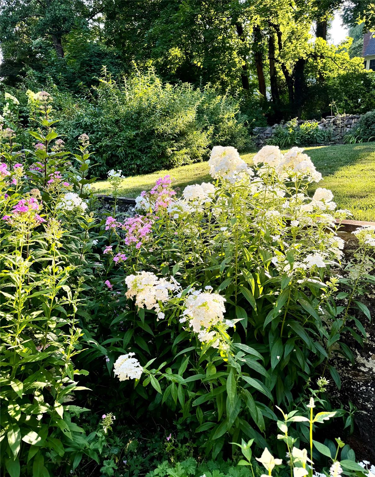 34 E Sarles Lane, Pleasantville, New York image 31