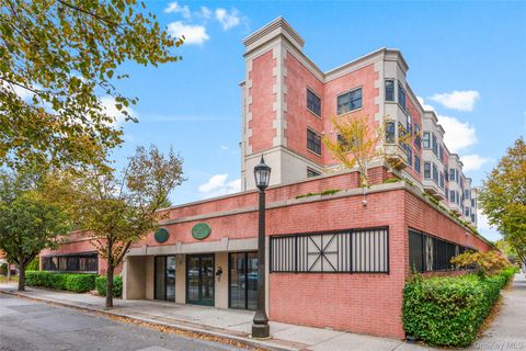 101 Sheldrake Place 101-10 Mamaroneck NY 10543